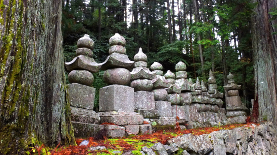 JAPON - FLORACIÓN DE CEREZOS